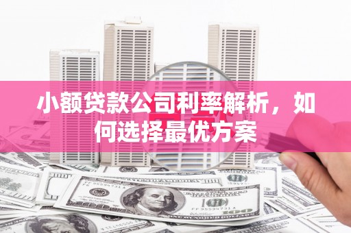 七堵小额贷款公司利率解析，如何选择最优方案