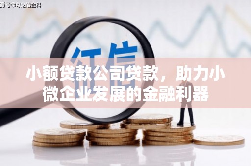 七堵小额贷款公司贷款，助力小微企业发展的金融利器