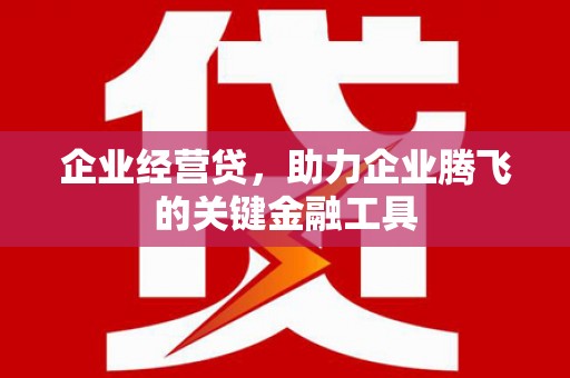 七堵企业经营贷，助力企业腾飞的关键金融工具