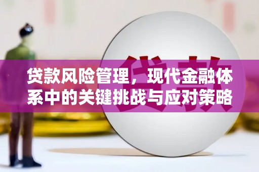 七堵贷款风险管理，现代金融体系中的关键挑战与应对策略