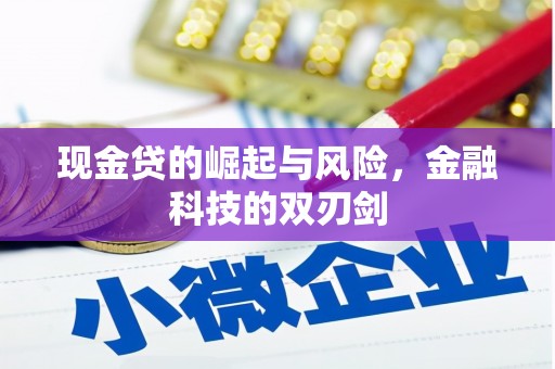 七堵现金贷的崛起与风险，金融科技的双刃剑
