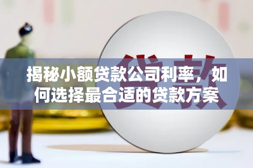 七堵揭秘小额贷款公司利率，如何选择最合适的贷款方案