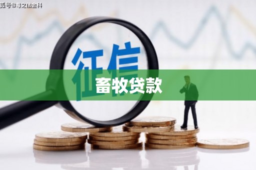七堵畜牧贷款